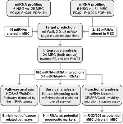 miR-22 and miR-205 Drive Tumor Aggressiveness of Mucoepidermoid Carcinomas of Salivary Glands